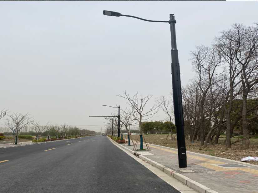 泰安市上海综合杆 太阳能路灯工程
